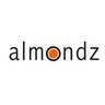 Almondz Global Securities Limited